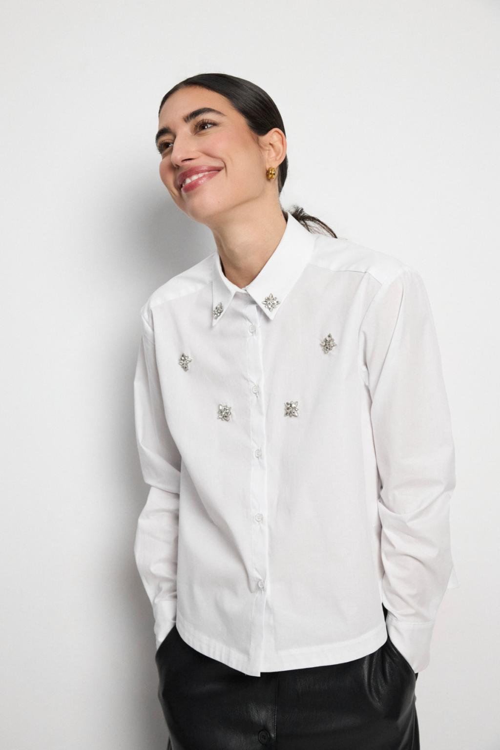 https://cdn.shopify.com/s/files/1/0427/4834/6533/files/207380.jpg?v=1784048056