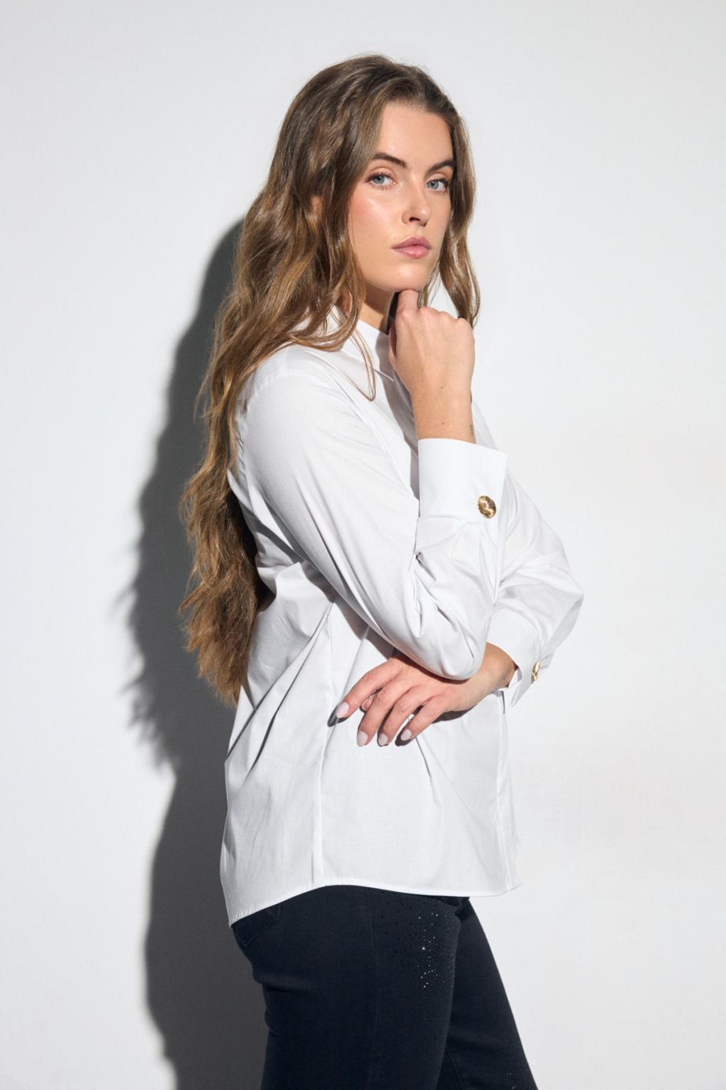 https://cdn.shopify.com/s/files/1/0427/4834/6533/files/207327.jpg?v=1784047937