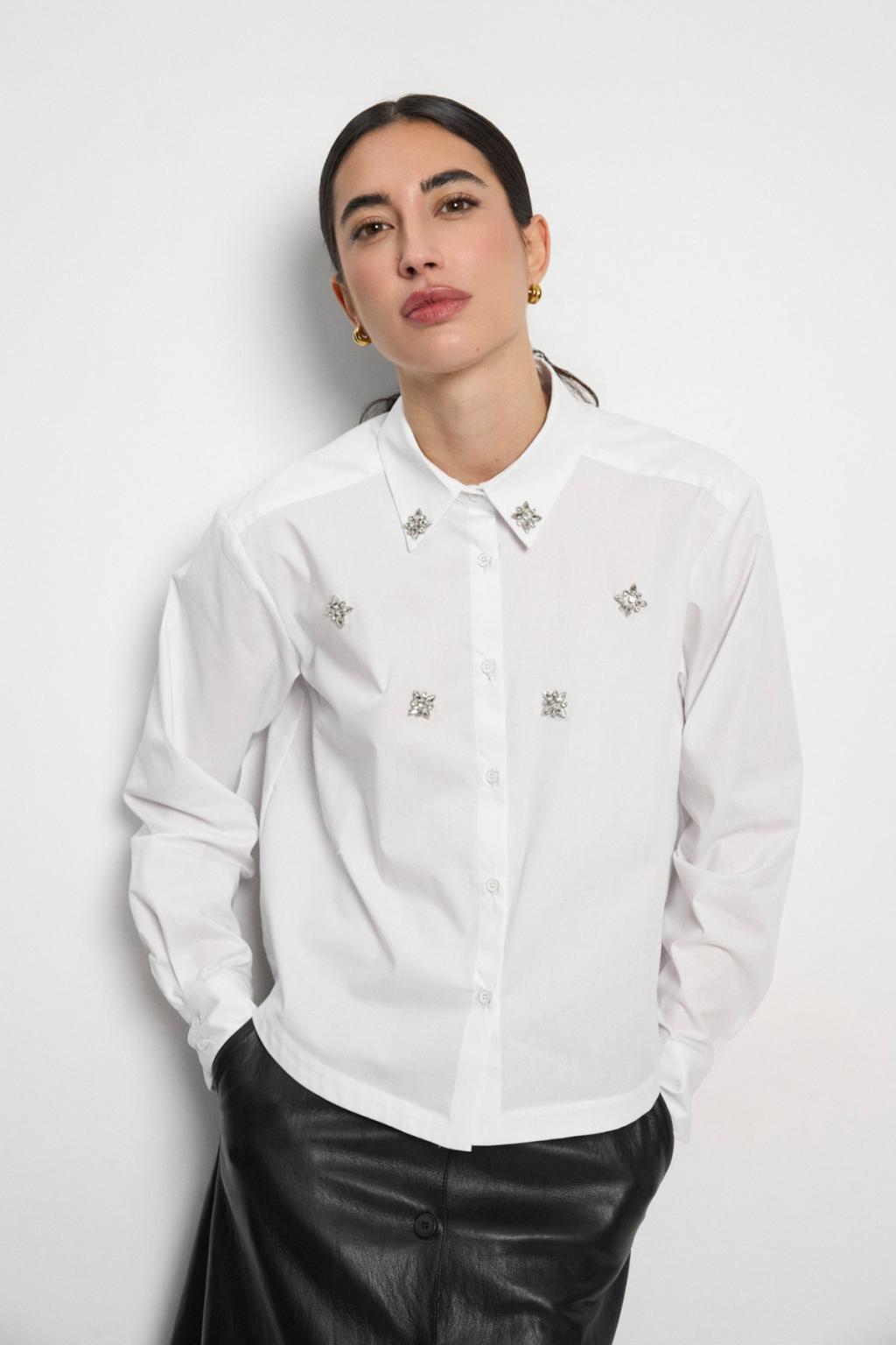 https://cdn.shopify.com/s/files/1/0427/4834/6533/files/207378.jpg?v=1784048055