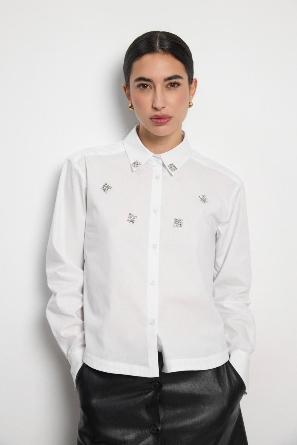 https://cdn.shopify.com/s/files/1/0427/4834/6533/files/207381.jpg?v=1784048056