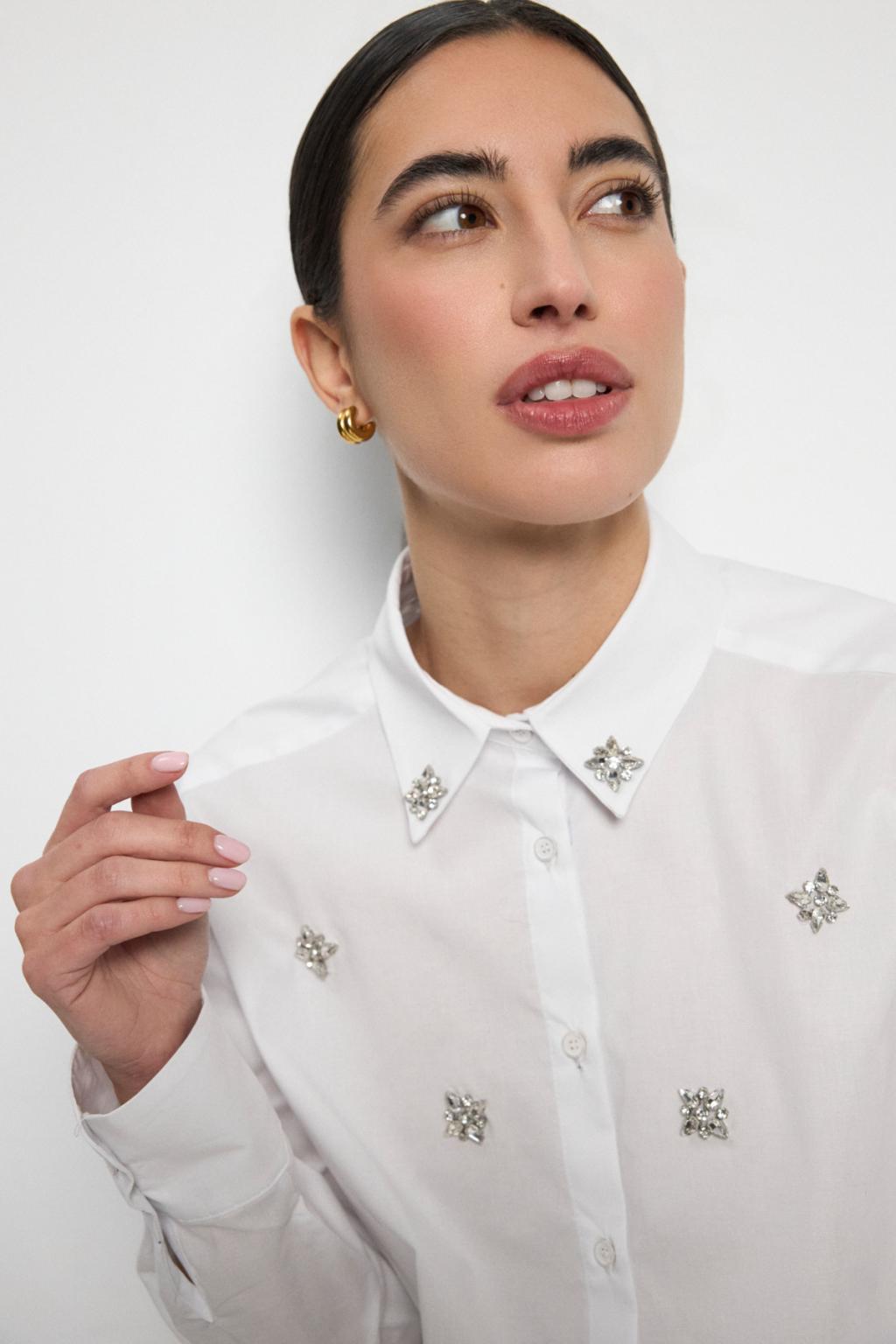 https://cdn.shopify.com/s/files/1/0427/4834/6533/files/207383.jpg?v=1784048056