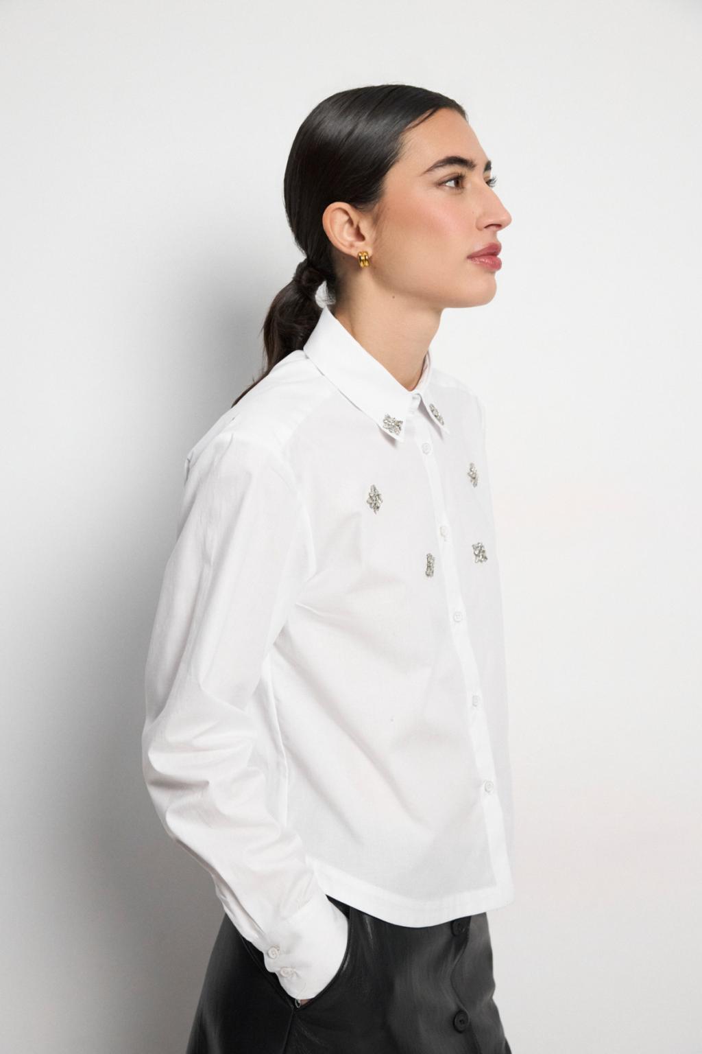 https://cdn.shopify.com/s/files/1/0427/4834/6533/files/207384.jpg?v=1784048056