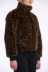 https://images.leder-international.becosoft.net/articles/Ambra.7012511_Leopard_02.jpg