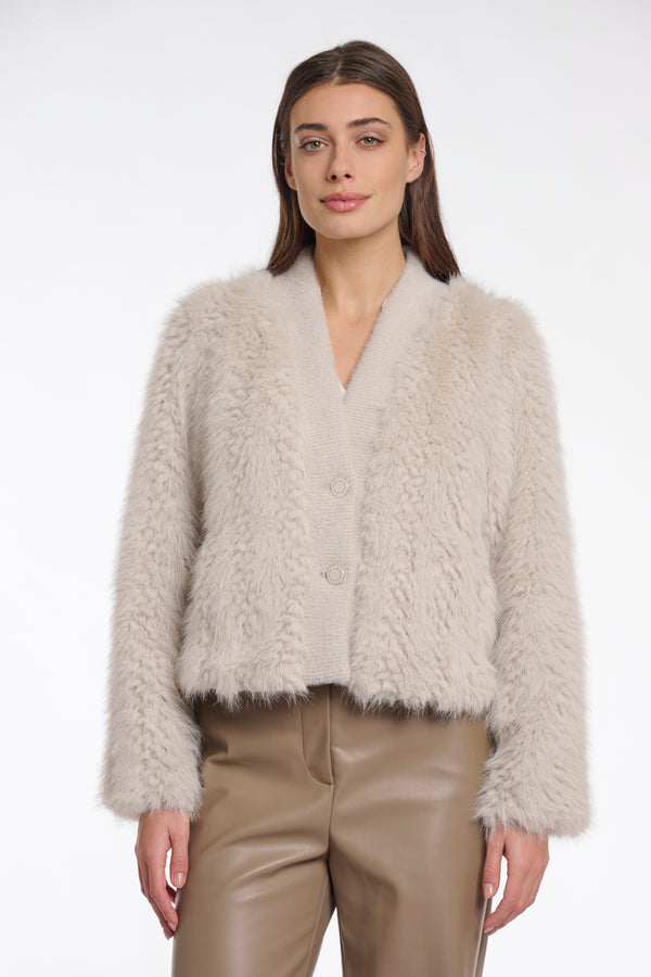 https://images.leder-international.becosoft.net/articles/Chaimae.7002512_Birch_01.jpg